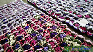 Брестские таможенники пресекли крупнейшую в этом году контрабанду цветов