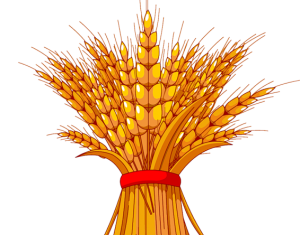 Лучших тружеников АПК Гродненской области награждают в Новогрудке