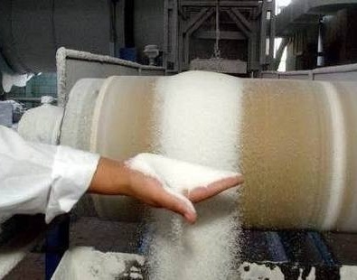 Белгоспищепром не планирует строительство пятого сахарного завода