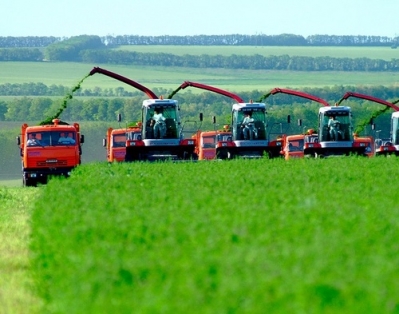 Белорусские фермеры заинтересованы в опыте японских ученых по созданию новых сельхозкультур