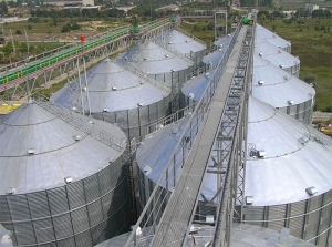 Госхлебинспекция выступит арбитром между производителями и заготовителями зерна