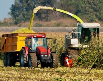 Производство сельхозпродукции на душу населения в Беларуси по многим позициям превышает показатели в странах ЕАЭС