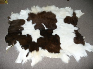 Бедные телята