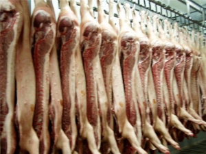 Водитель фуры пытался вывезти за пределы страны 13 тонн мяса говядины 