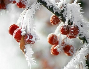 На Рождество в Беларуси прогнозируется до минус 12