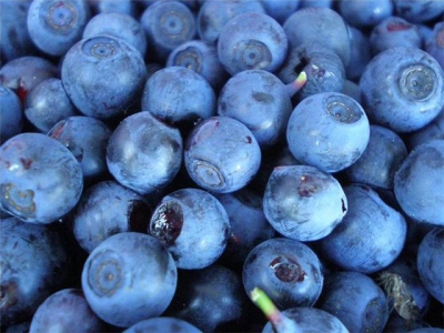 До конца июля потребкооперативы Минской области будут принимать у населения чернику