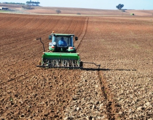 Белорусские земли неэффективно используются в сельском хозяйстве