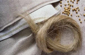 Производя экологичные материалы, белорусы могли бы открыть «золотую жилу»