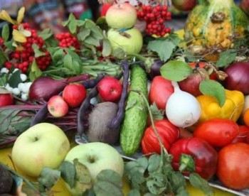 В Гродненской области проведут около 80 осенних сельскохозяйственных ярмарок