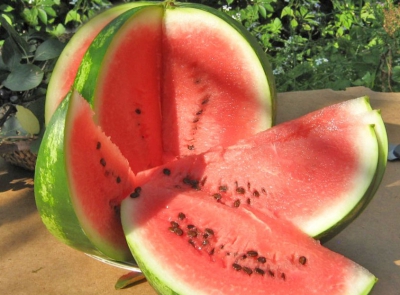 На прилавках Комаровского рынка – только качественные арбузы и дыни