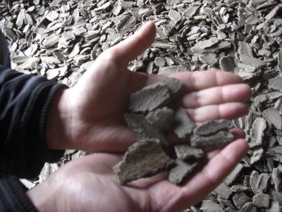 Беларусь запретила ввоз негранулированного подсолнечного шрота из России и Украины