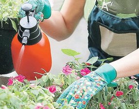 Кто поможет избавиться от сорняков? 
