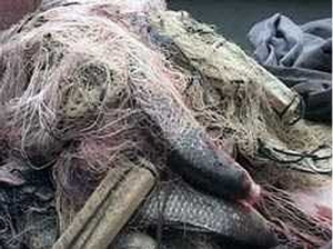 На прошлой неделе госинспекторы изъяли у браконьеров 13 километров сетей…	