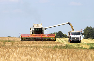 Минская область первой преодолела миллионный рубеж в намолоте зерна нового урожая