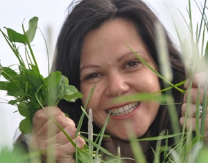 Реально ли у нас биологическое земледелие