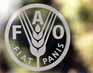    FAO   3,9%