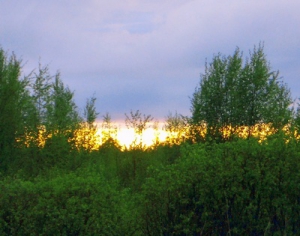 В Беларуси в 2012 году будет создано 4 новых заказника 