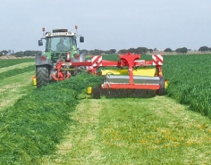 Темпы заготовки травяных кормов в Витебской области превышают прошлогодние