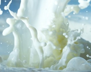 Объем производства молока в Гомельской области в 2015 году планируется увеличить на 10%