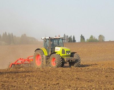 В Беларуси яровые культуры посеяны на более чем 50% площадей