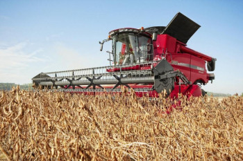 В Беларуси намолотили более 6,5 млн. тонн зерна