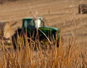 Беларусь будет сотрудничать с Азербайджаном в сфере сельского хозяйства