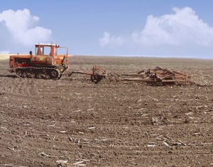 Хозяйства Гомельской области приступили к севу озимых
