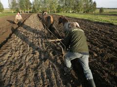 Частной собственности на землю в Беларуси на данном этапе не будет