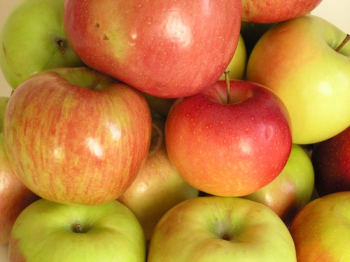  Можно ли сделать так, чтобы яблони плодоносили каждый год?