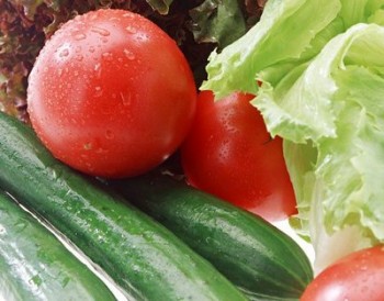 В Беларуси до конца января планируется внедрить российскую информационную систему "Аргус-Фито"