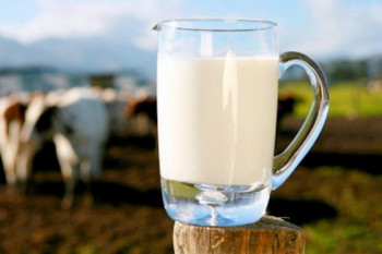 Минсельхозпрод увеличил рекомендуемые цены на экспорт молочных продуктов