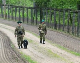 Почти 2 тонны бесхозного мяса обнаружили в лесу брестские пограничники