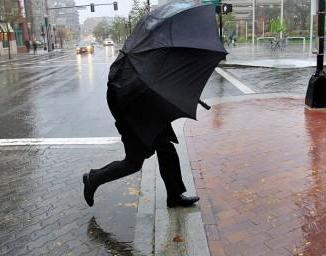 Шквальный ветер и оранжевый уровень опасности ждут Беларусь 4 июня