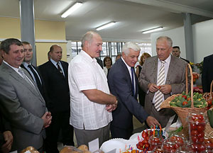 Беларусь в 2013 году получит более 9 млн.т урожая зерновых