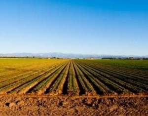 Предприниматели предлагают упростить процедуру передачи земли в частную собственность