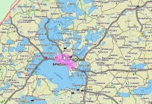 Международная конференция молодых ученых - о проблемах лесоводства