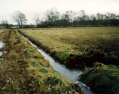 Монополистская система мелиорации земель показывает свою крайнюю неэффективность