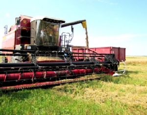  Могилевская область преодолела миллионный рубеж по намолоту зерна