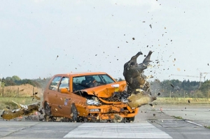 В Барановичском районе автомобиль «Рено» столкнулся с дикими кабанами.