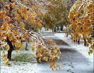 Преждевременной зимы в Беларуси не ожидается