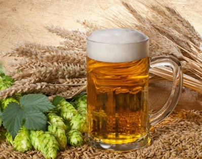 В Беларуси увеличены закупочные цены на пивоваренный ячмень