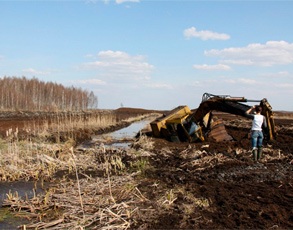 Общественную кампанию в защиту болот Беларуси поддержали в Минприроды