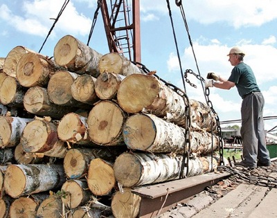 «Беллесбумпром» увеличил долю экспорта в страны вне СНГ в январе-июне на 5,2 п.п. до 34,2%