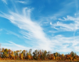 В Беларуси с четверга потеплеет до +10 - синоптики