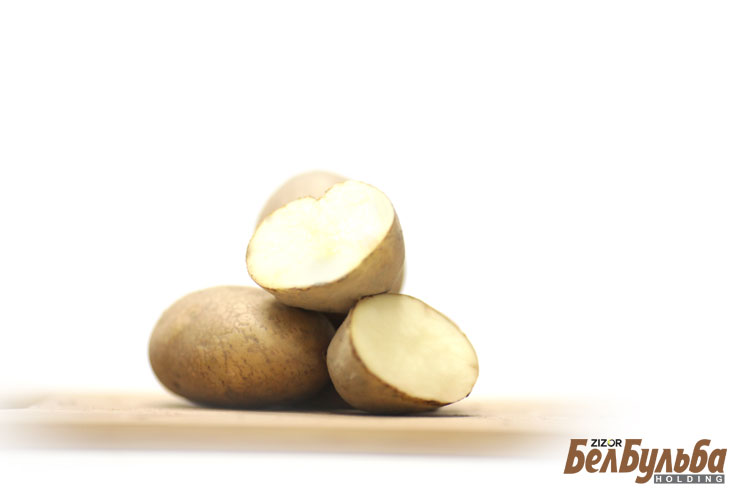 Сорт гретта картофель. Сорт леди клер. Сорт примадонна картофель. Сосорт картофеля зекура. Сорт зекура картофель характеристика.