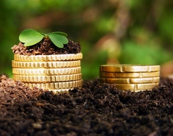 Белорусские банки выделят почти 5,7 трлн. рублей кредитов для закупки продукции растениеводства урожая 2015 года