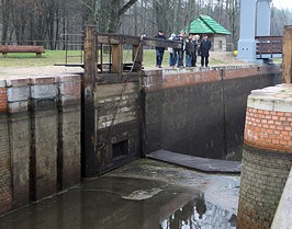 Августовская пуща может получить статус трансграничного биосферного резервата