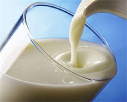 Беларусь нарастила экспорт молока