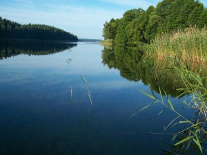 Правовые механизмы должны быть на страже природы