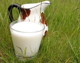 В Беларуси увеличилось производство молока
